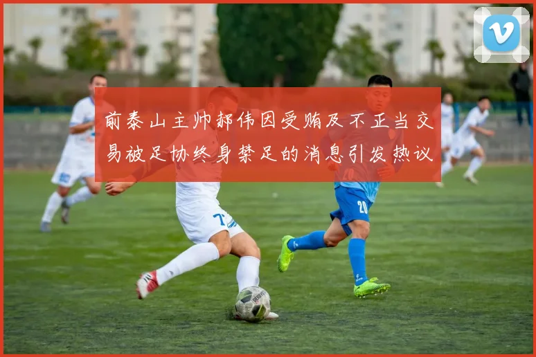 前泰山主帅郝伟因受贿及不正当交易被足协终身禁足的消息引发热议